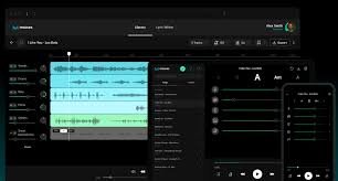 LALAL.AI kullanım örneği ve arayüz görüntüsü